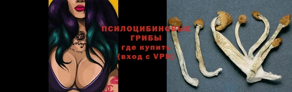 a pvp Алексеевка