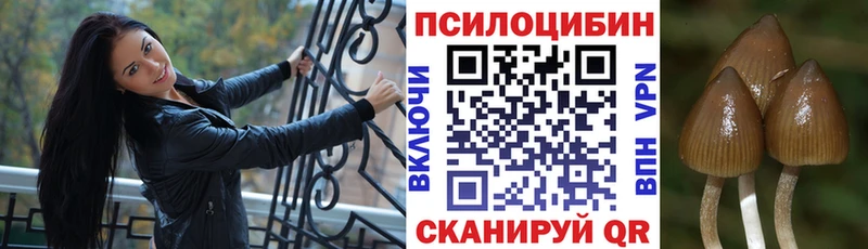 Галлюциногенные грибы MAGIC MUSHROOMS  блэк спрут маркетплейс  Ачинск  дарнет шоп 